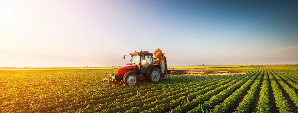 Inima Satului-Comunitate Rurala si Traditii